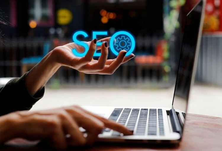 Polateli Web Site Tasarımcı